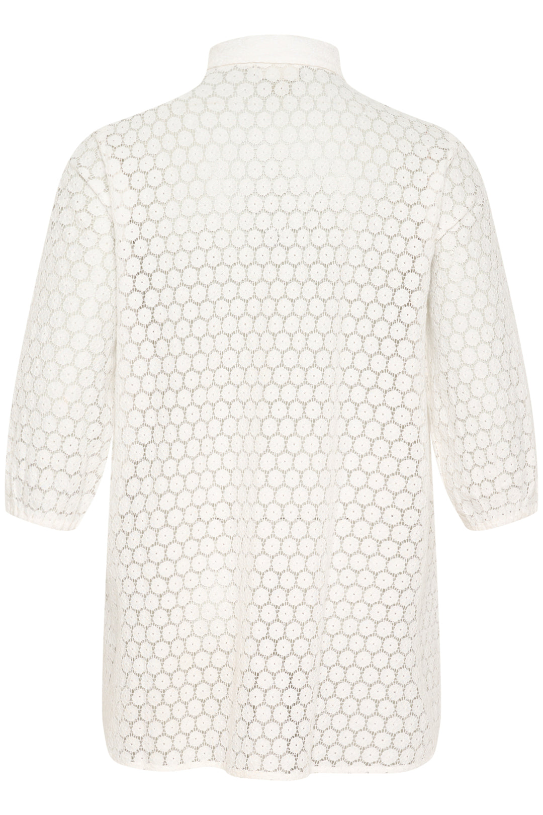 Witte Kanten Blouse Met Doorknoopsluiting En Klassieke Kraag | Grote Maten Mode bij Axent