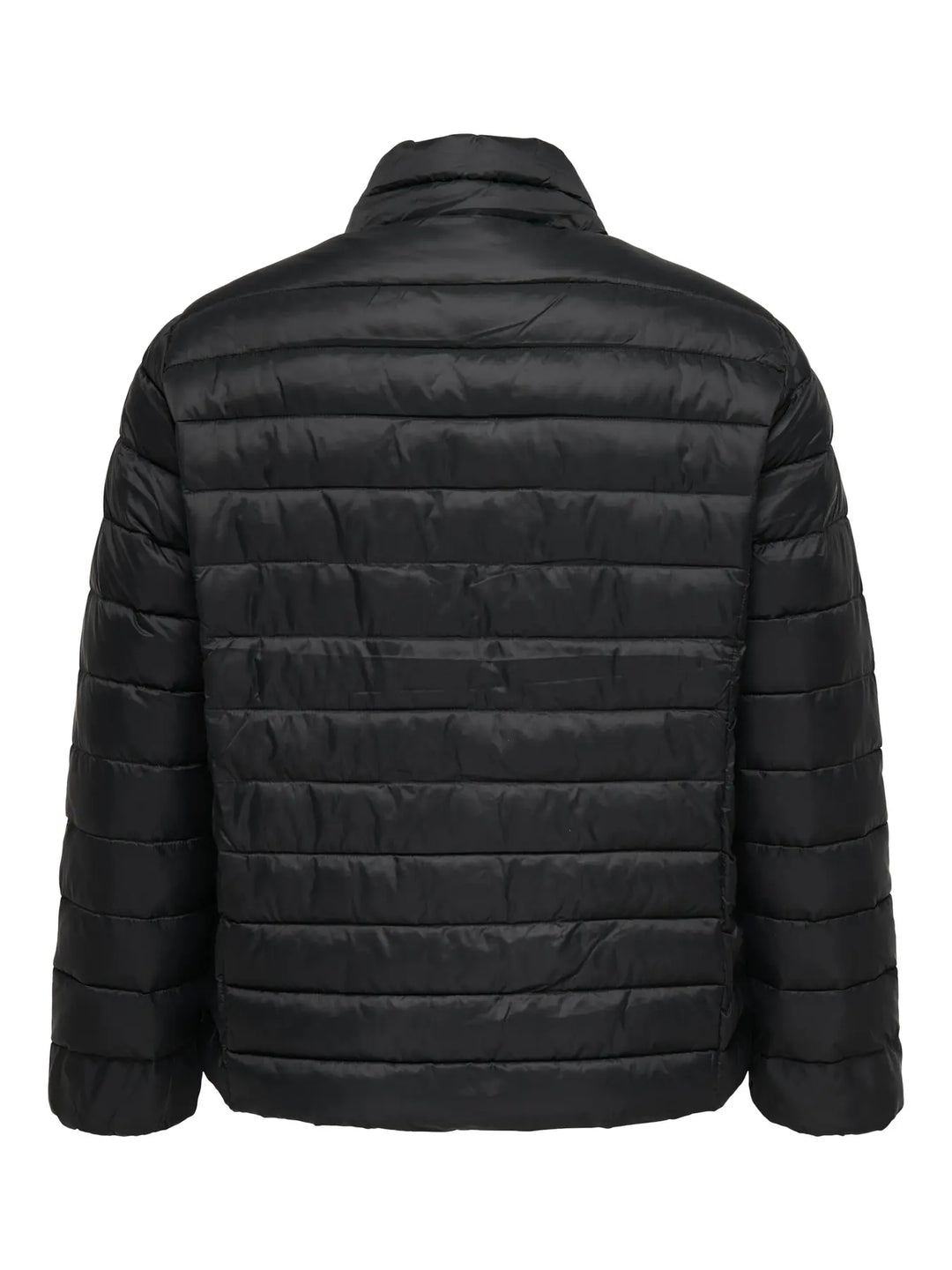 Zwarte Lichtgewicht Puffer Jas Met Hoge Kraag